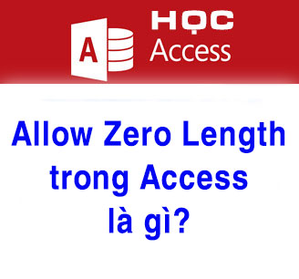 allow zero length trong access